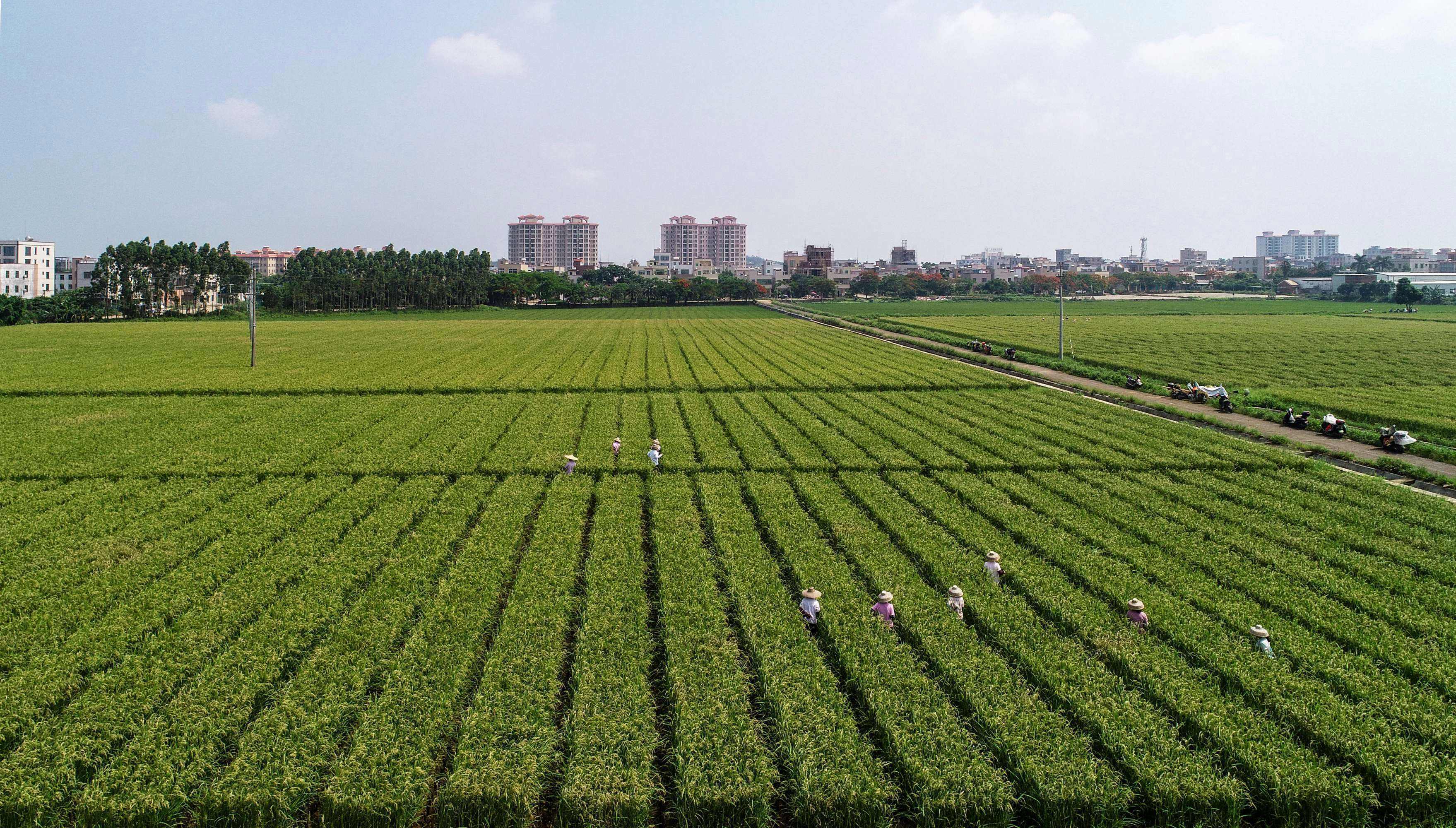 耗资1.47亿!温氏股份布局猫犬粮赛道!