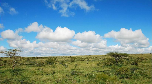 中国武夷:肯尼亚蒙巴萨基利菲郡地块被政府部分征用