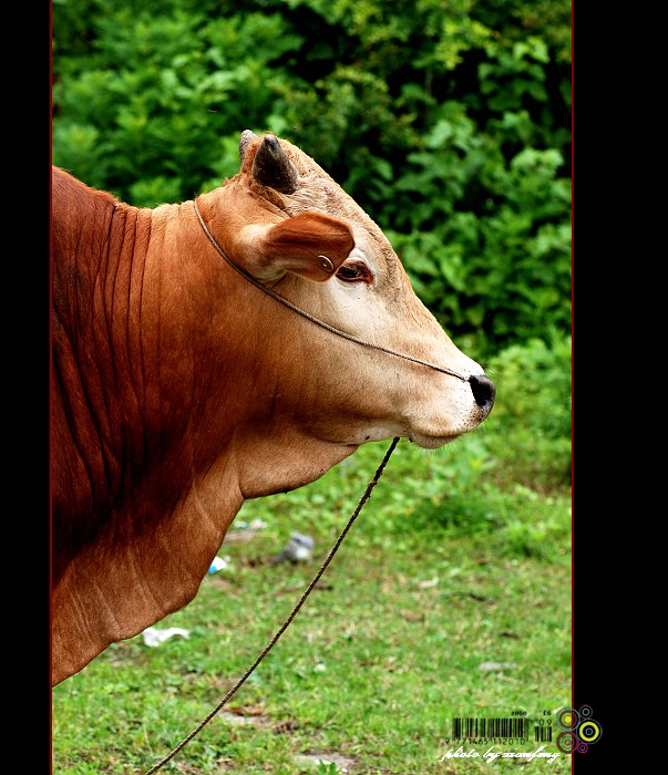 金春股份：截止2026年01月30日公司股东人数为10,603