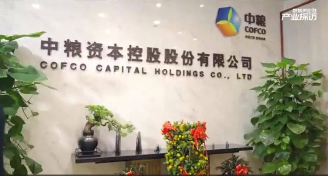 中粮资本：二级市场股价波动受多重因素影响