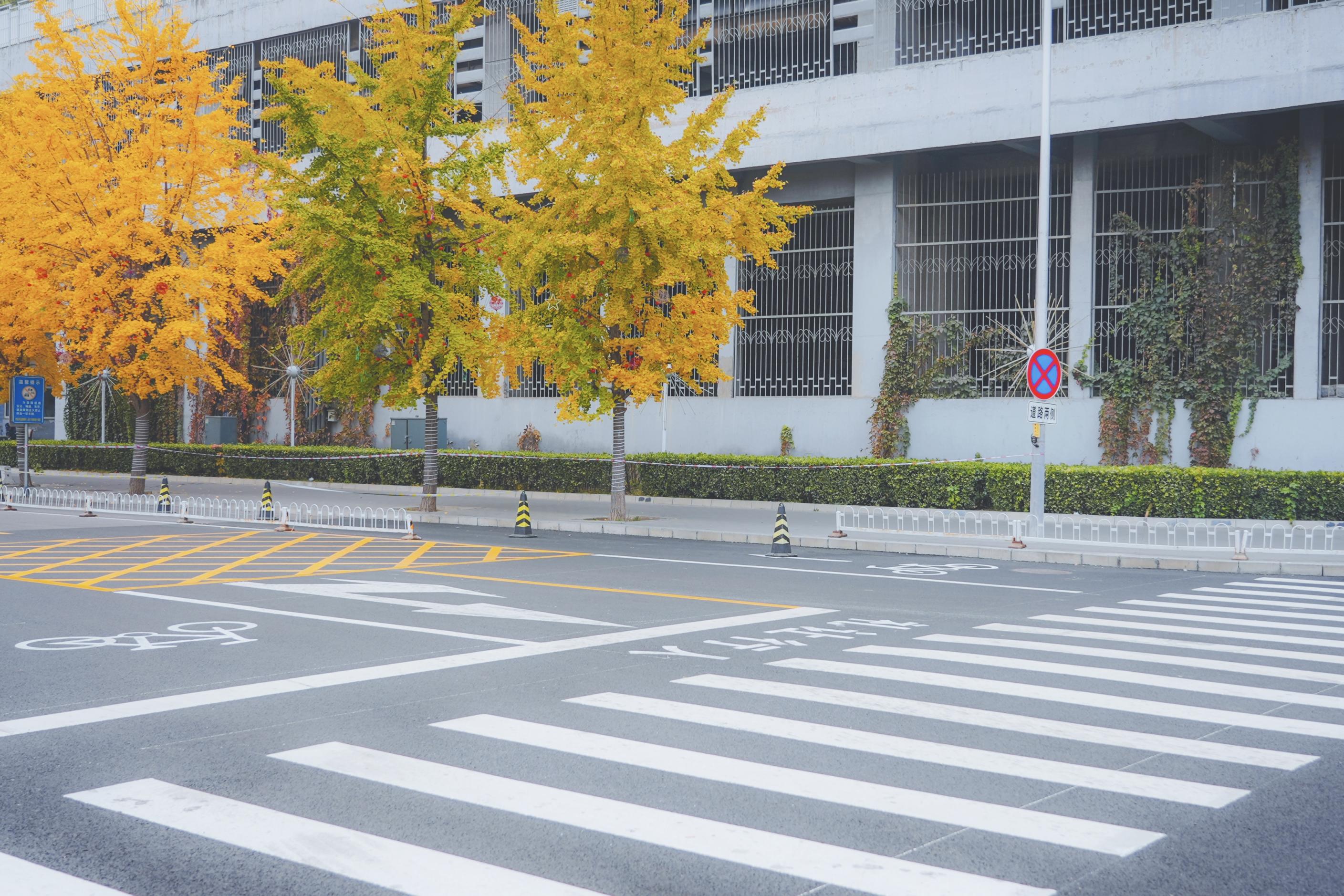 人保服务 ,拥有“如意行”驾乘险,出行更顺畅!_2026-2030年中国电力系统行业:ESG框架下的绿色投资与气候风险管理