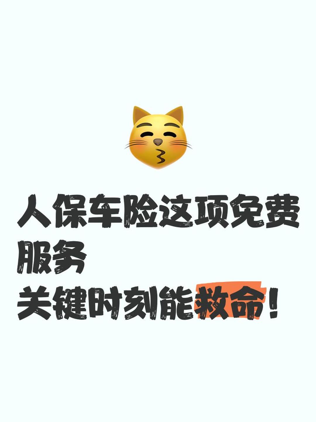 2026轻轨行业市场深度调研及未来前景分析_人保服务 ,人保车险