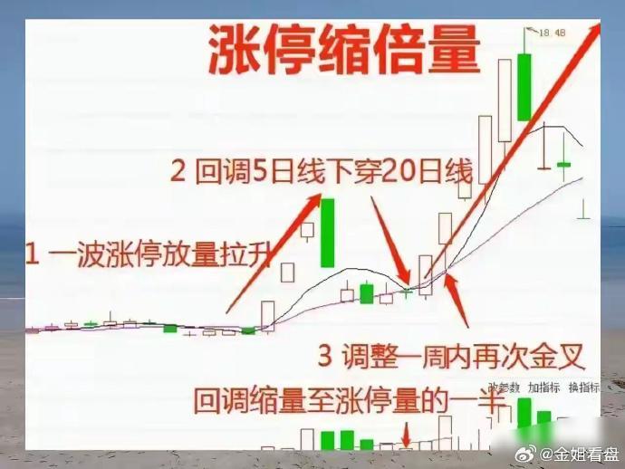 揭秘涨停 | 13股封单资金均超1亿元