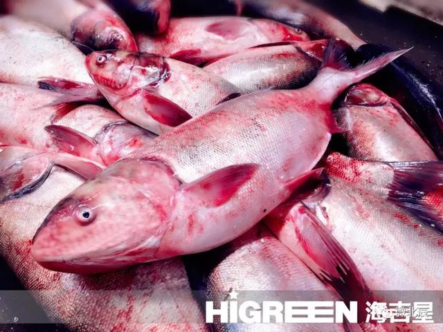 唐人神:公司肥猪完全成本争取控制在12.6元/公斤左右