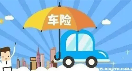 2026-2030年中国叶腊石行业深度调研及投资趋势预测分析_人保服务 ,人保护你周全