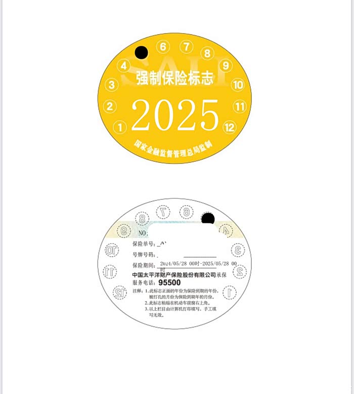 人保车险,人保有温度_2025年超声治疗仪器行业深度分析:现状剖析、前景展望与趋势洞察