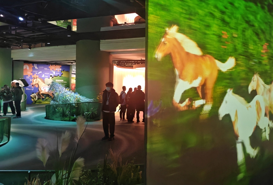 上海新春看展:“奇骥奔腾”马年科技文化展