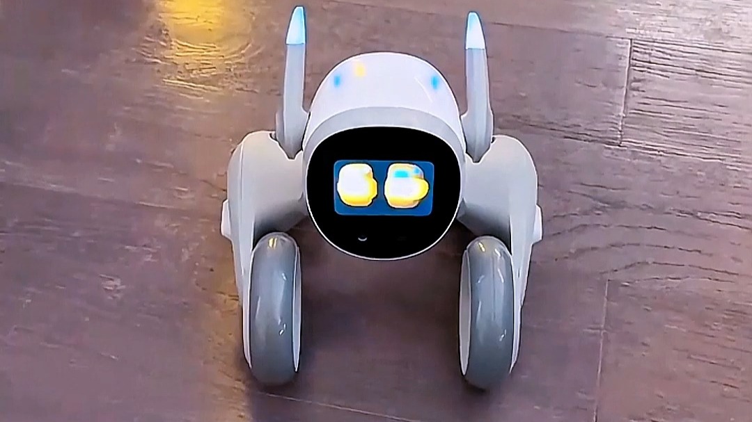 机器狗在宁波舟山港上岗 首创重箱查验“具身智能”应用