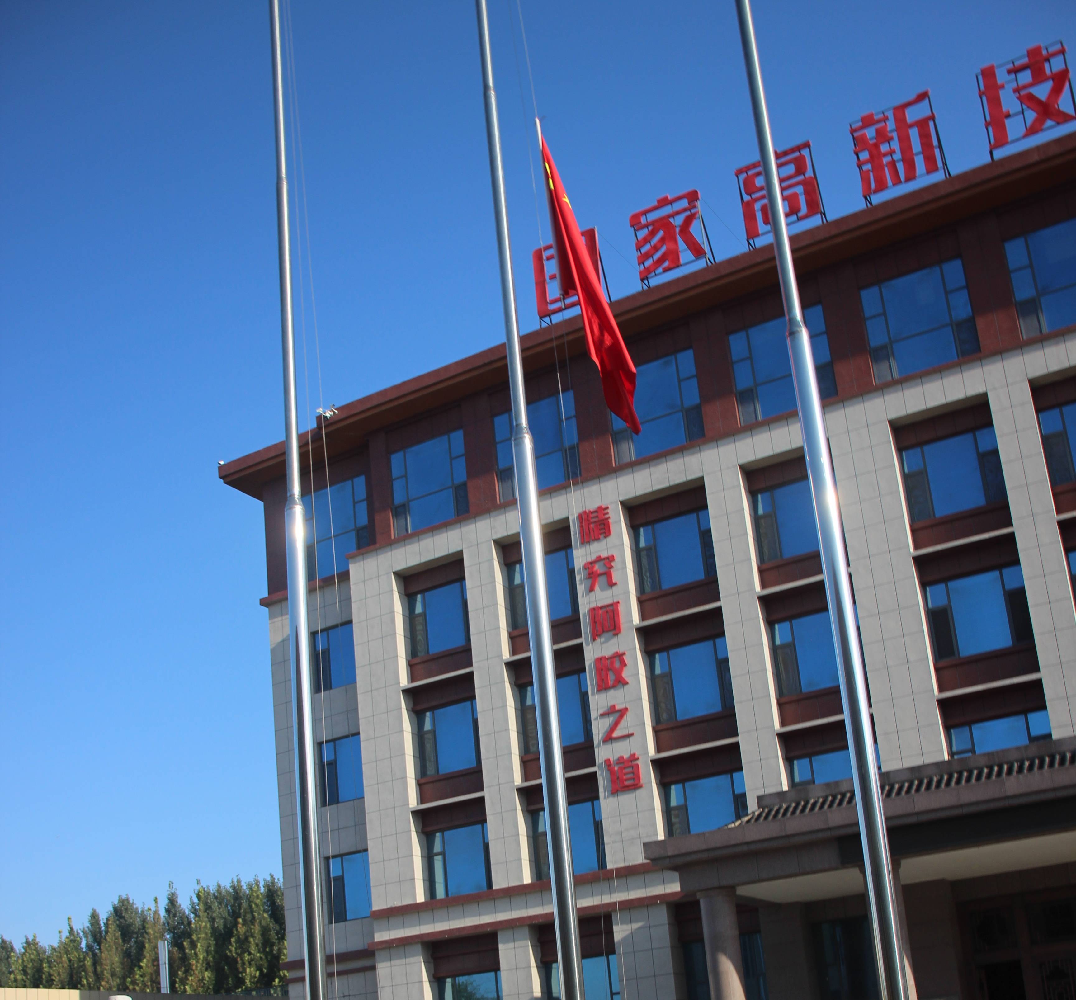 东阿阿胶：2023年以来股利支付率均近100%