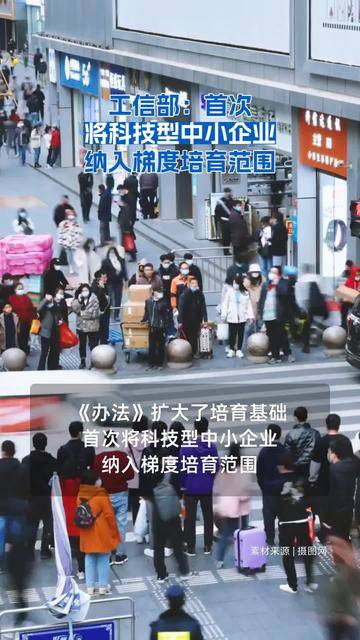 中国科技型中小企业走向旷野