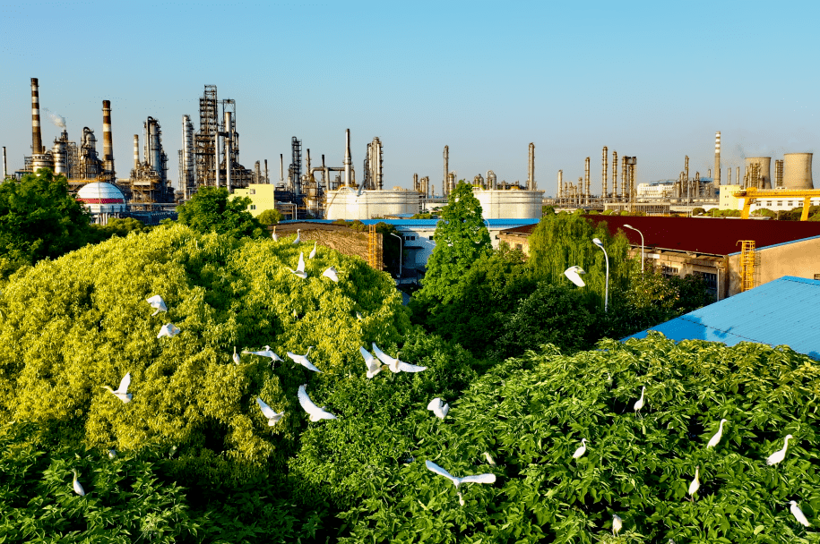 中国石化获得发明专利授权：“一种环加成反应用季�l盐催化剂及其制备方法与应用”