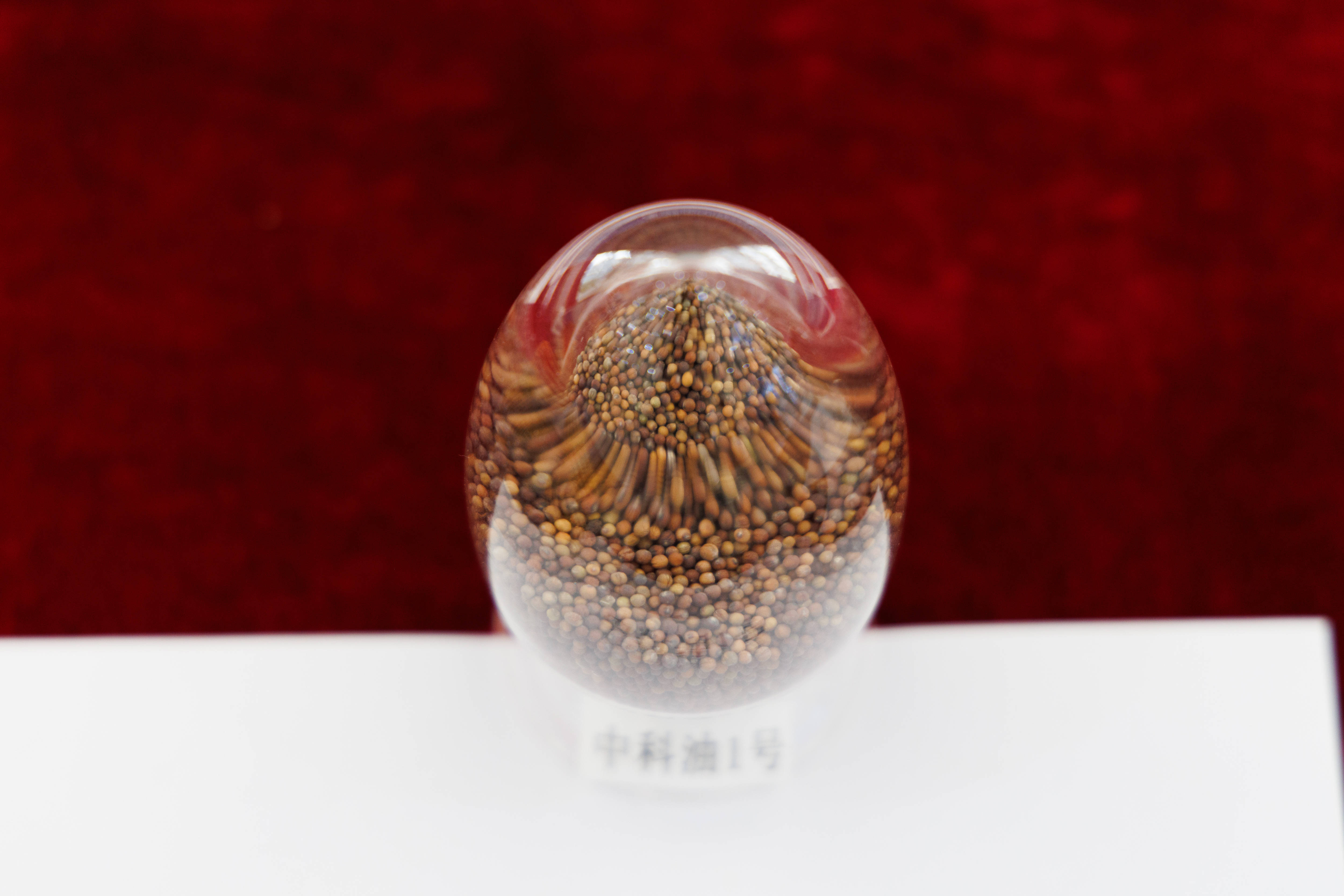 中国社会科学院第十二届优秀科研成果奖发布