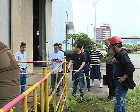 德冠新材:功能薄膜及功能母料改扩建技术改造项目投产