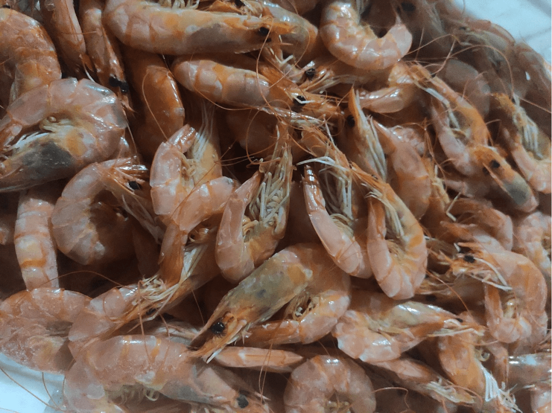 赛博养“虾”人一边兴奋，一边惶恐