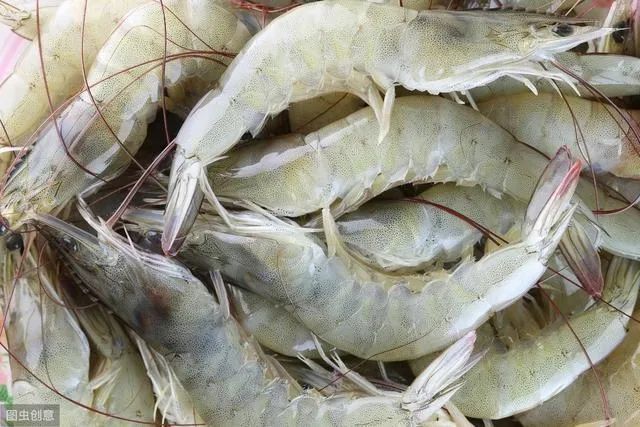 赛博养“虾”人一边兴奋，一边惶恐