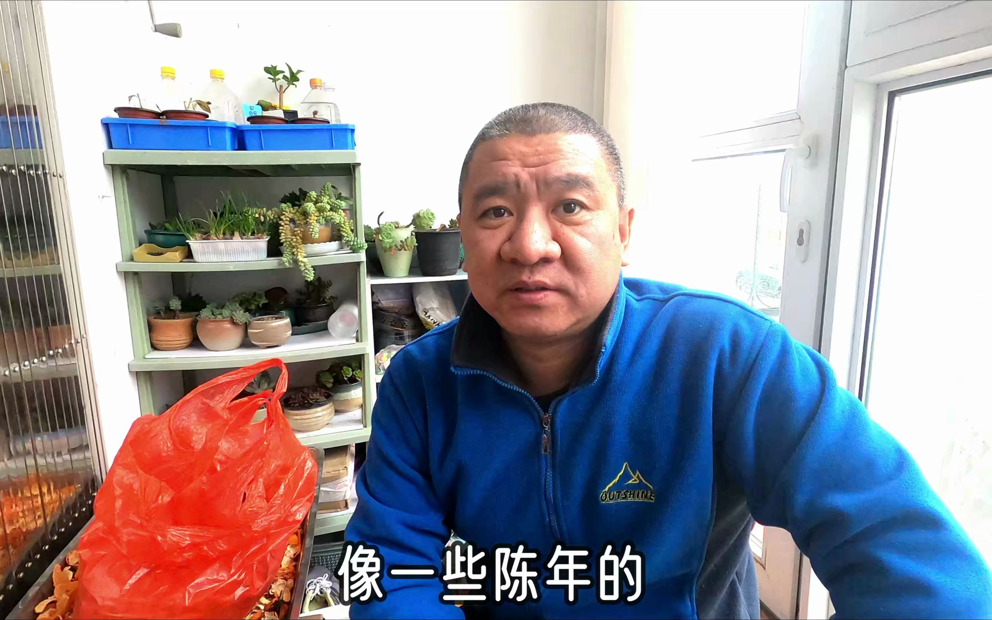 全国人大代表孙东伟：建议将花生作为油料的主力品种