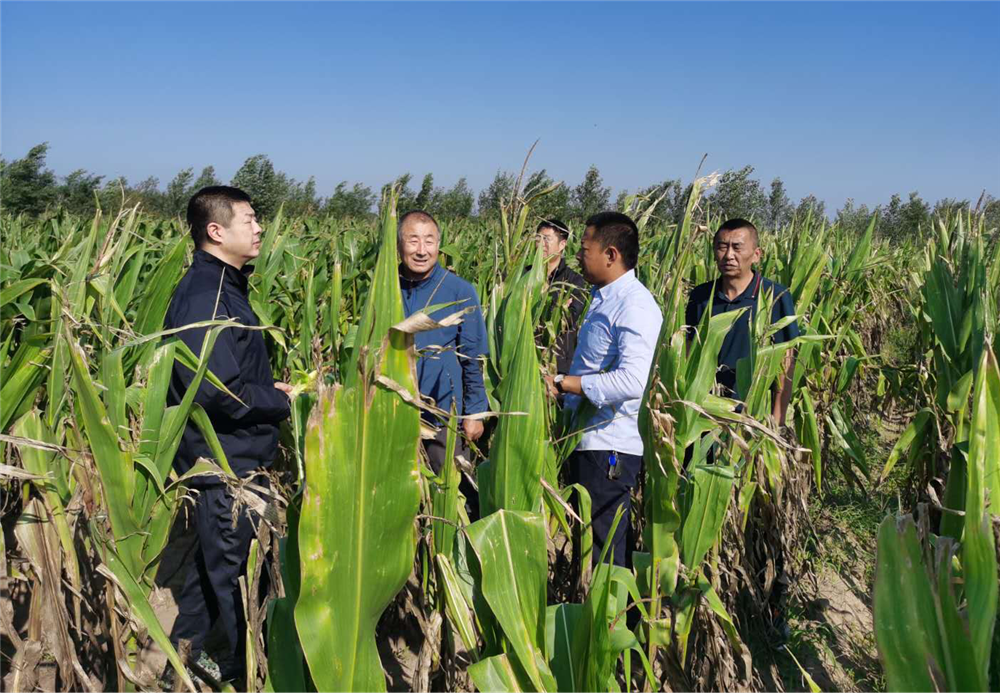 人保财险 ,人保护你周全_2026中国视觉检测行业：构建以知识与数据为核心的能力三角