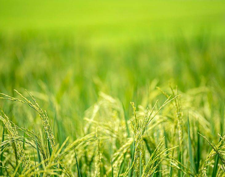 陈茂波:香港是全球绿色转型的“超级增值人”